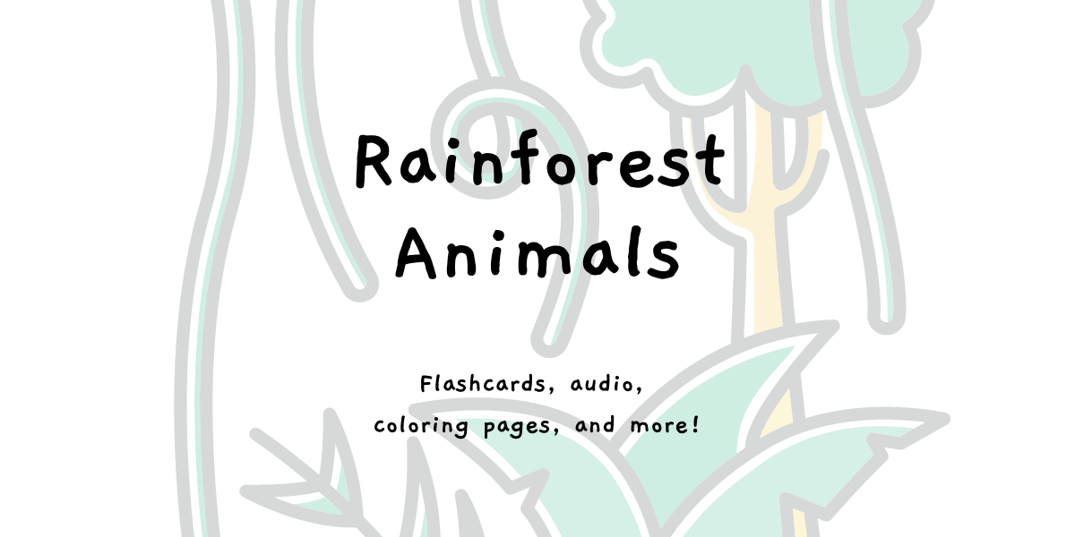 Rainforest Animal Names in English